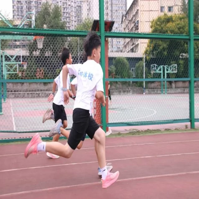 足球杯赛焦点对决：第218组阵容实力全解析