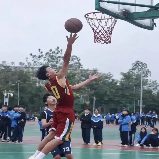 网坛传奇德约科维奇强势回归
